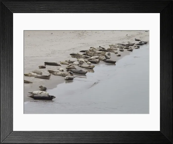 Framed Print : Picture No. 11992959 Framed Print : Picture No. 11992959
