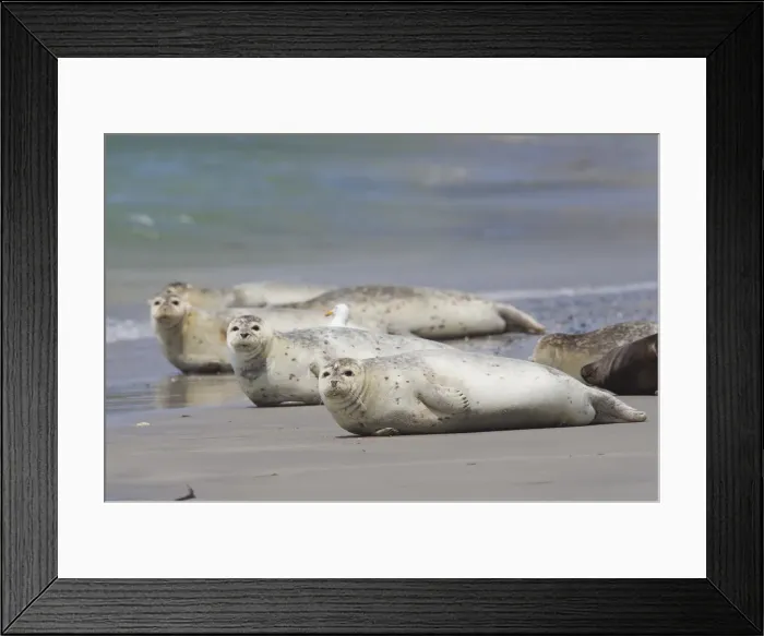 Framed Print : Picture No. 11992960 Framed Print : Picture No. 11992960