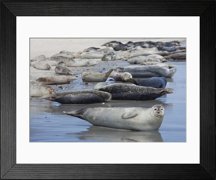 Framed Print : Picture No. 11992961 Framed Print : Picture No. 11992961