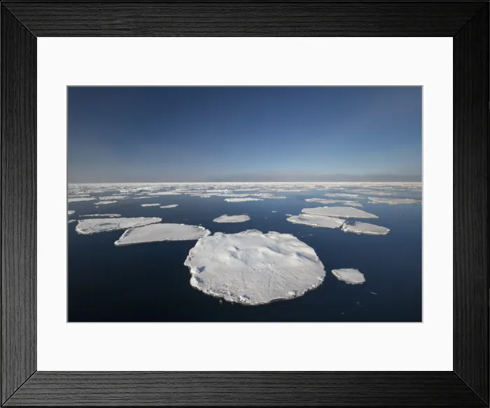 Framed Print : Picture No. 11992966 Framed Print : Picture No. 11992966
