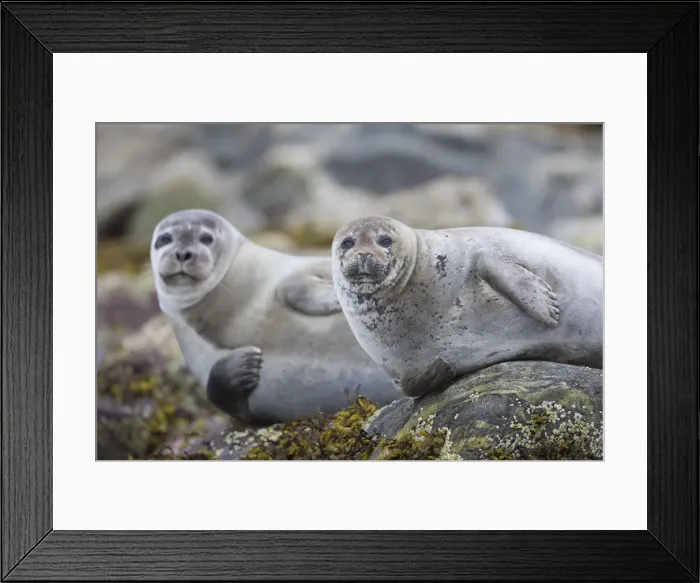 Framed Print : Picture No. 11992970 Framed Print : Picture No. 11992970