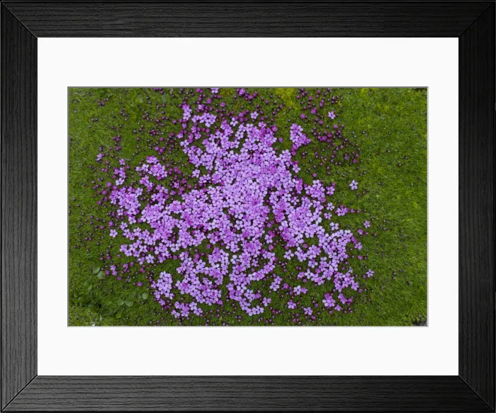 Framed Print : Picture No. 11992980 Framed Print : Picture No. 11992980