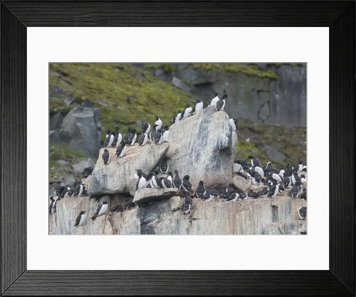 Framed Print : Picture No. 11993033 Framed Print : Picture No. 11993033