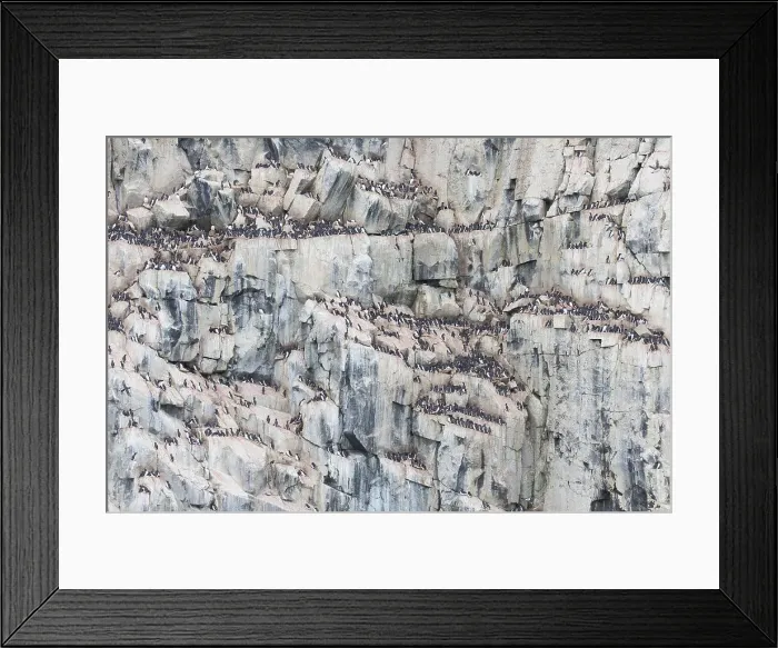 Framed Print : Picture No. 11993034 Framed Print : Picture No. 11993034