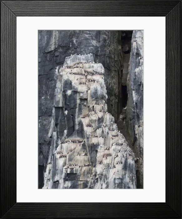 Framed Print : Picture No. 11993035