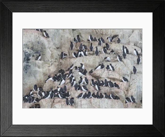 Framed Print : Picture No. 11993036 Framed Print : Picture No. 11993036