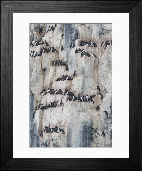 Framed Print : Picture No. 11993037 Framed Print : Picture No. 11993037