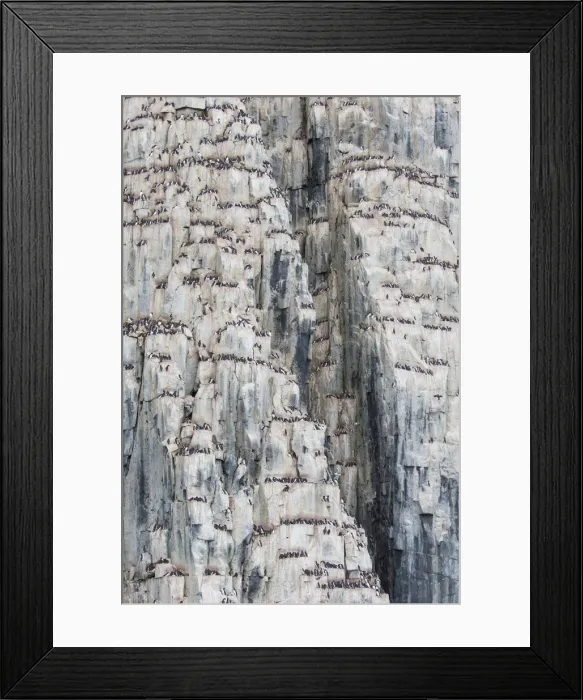 Framed Print : Picture No. 11993038 Framed Print : Picture No. 11993038