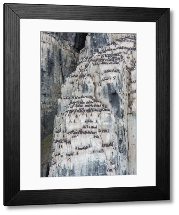 Framed Print : Picture No. 11993039 Framed Print : Picture No. 11993039