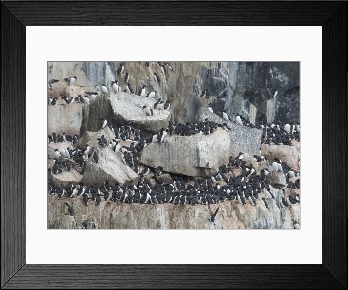 Framed Print : Picture No. 11993042 Framed Print : Picture No. 11993042