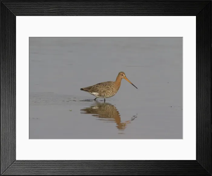 Framed Print : Picture No. 11993058 Framed Print : Picture No. 11993058