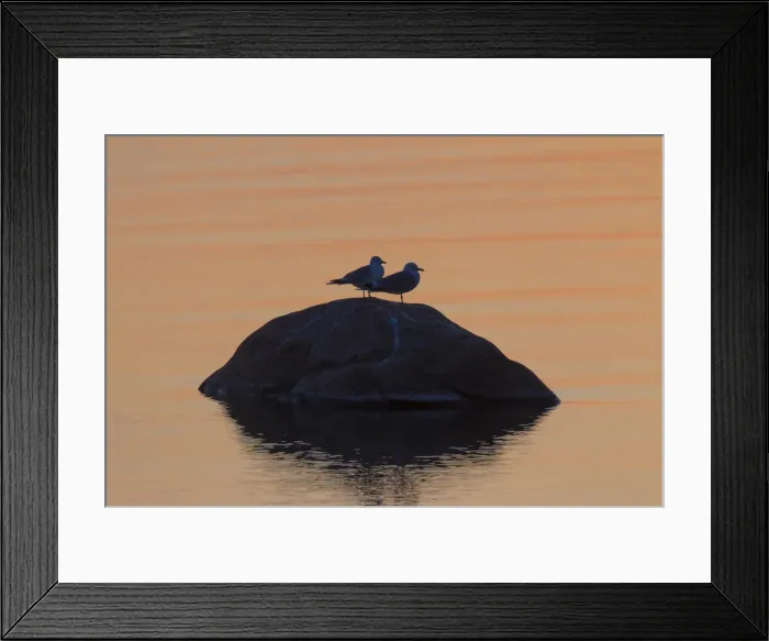 Framed Print : Picture No. 11993059 Framed Print : Picture No. 11993059
