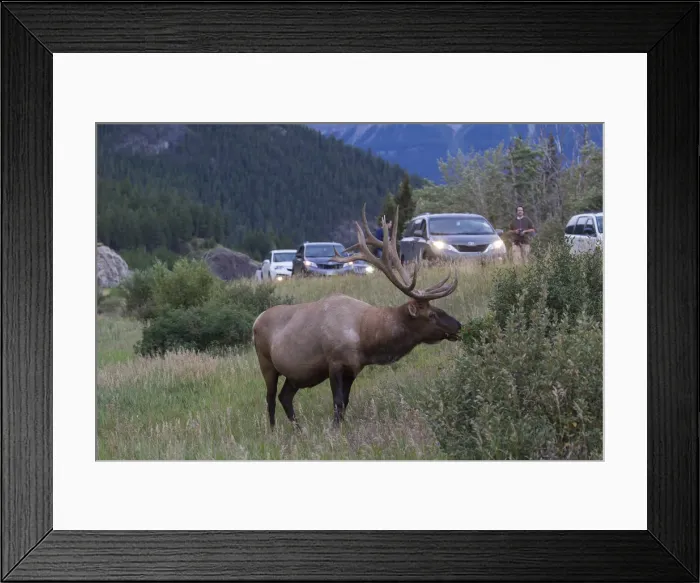 Framed Print : Picture No. 11993063 Framed Print : Picture No. 11993063