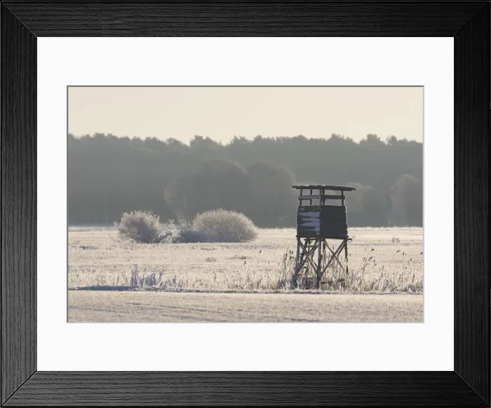 Framed Print : Picture No. 11993067 Framed Print : Picture No. 11993067