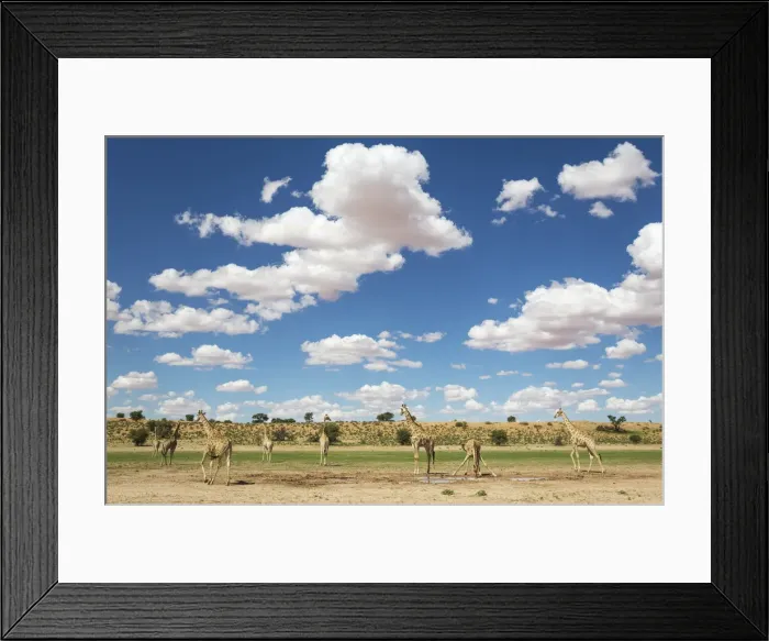 Framed Print : Picture No. 11991458 Framed Print : Picture No. 11991458