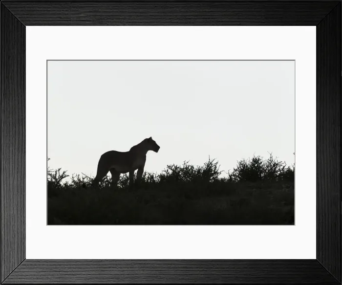 Framed Print : Picture No. 11991465 Framed Print : Picture No. 11991465