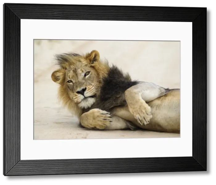 Framed Print : Picture No. 11991469 Framed Print : Picture No. 11991469