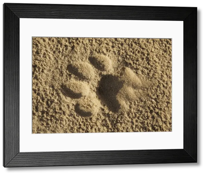 Framed Print : Picture No. 11991470 Framed Print : Picture No. 11991470