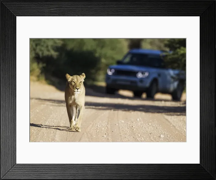 Framed Print : Picture No. 11991471 Framed Print : Picture No. 11991471