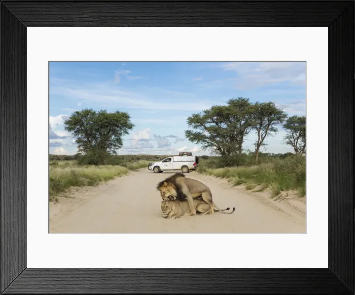 Framed Print : Picture No. 11991472 Framed Print : Picture No. 11991472