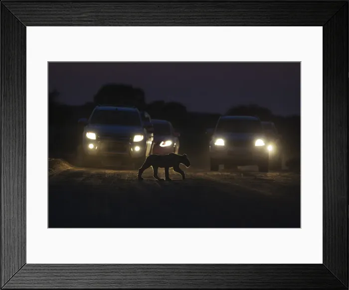 Framed Print : Picture No. 11991473 Framed Print : Picture No. 11991473