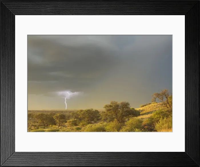 Framed Print : Picture No. 11991495 Framed Print : Picture No. 11991495