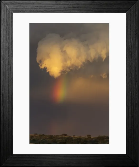 Framed Print : Picture No. 11991496 Framed Print : Picture No. 11991496