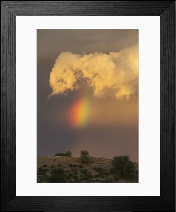 Framed Print : Picture No. 11991497 Framed Print : Picture No. 11991497