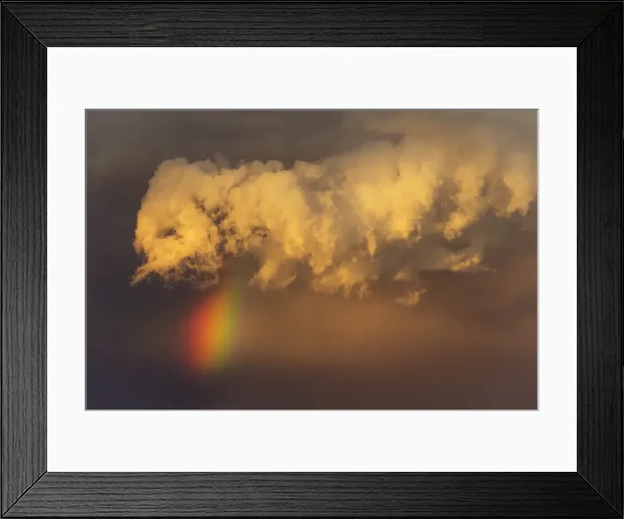 Framed Print : Picture No. 11991498 Framed Print : Picture No. 11991498