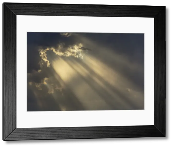 Framed Print : Picture No. 11991503 Framed Print : Picture No. 11991503