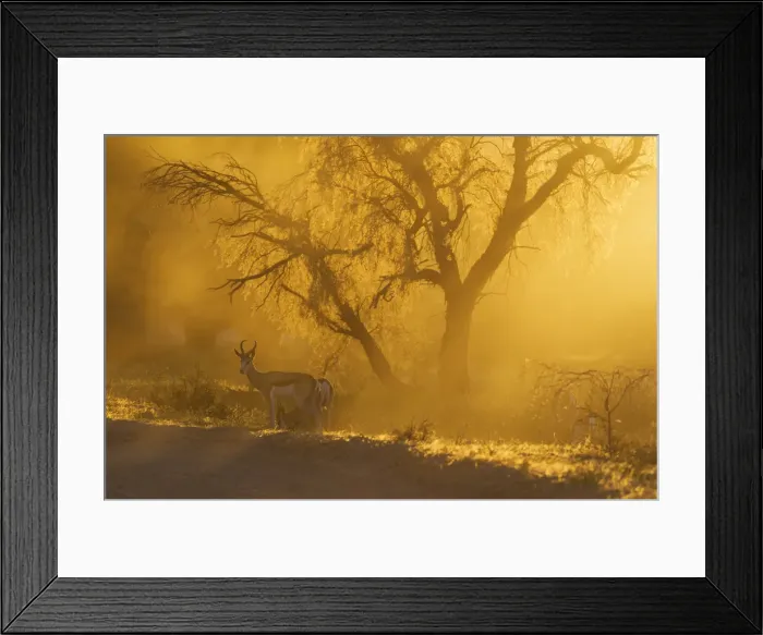Framed Print : Picture No. 11991525 Framed Print : Picture No. 11991525