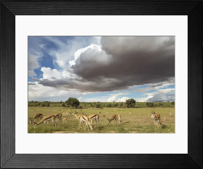 Framed Print : Picture No. 11991526 Framed Print : Picture No. 11991526
