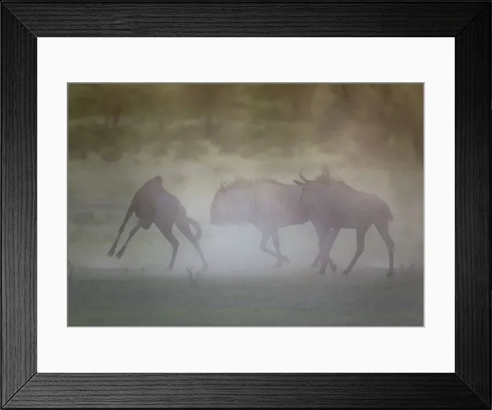 Framed Print : Picture No. 11991575 Framed Print : Picture No. 11991575