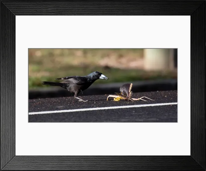 Framed Print : Picture No. 11993355 Framed Print : Picture No. 11993355