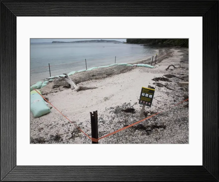 Framed Print : Picture No. 11993365 Framed Print : Picture No. 11993365