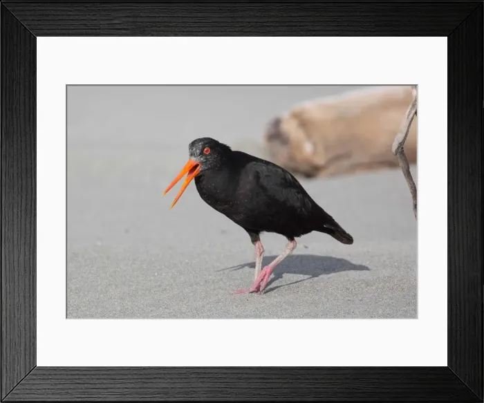 Framed Print : Picture No. 11993383 Framed Print : Picture No. 11993383