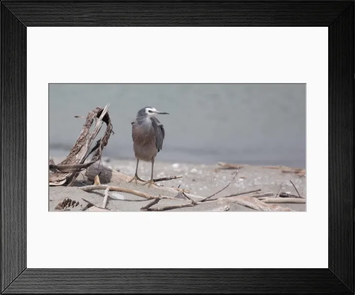Framed Print : Picture No. 11993387 Framed Print : Picture No. 11993387