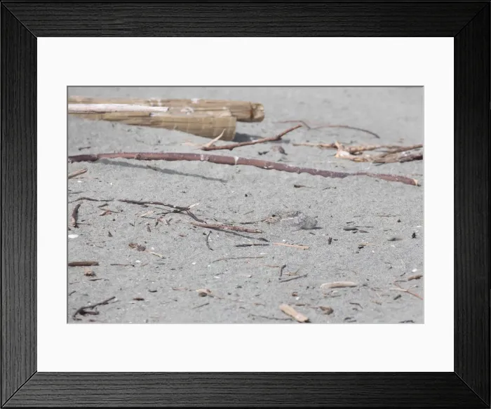 Framed Print : Picture No. 11993389 Framed Print : Picture No. 11993389