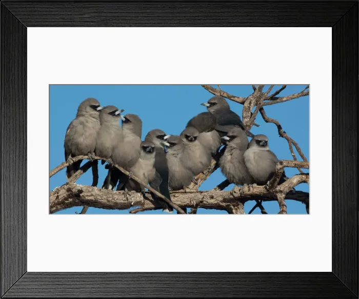 Framed Print : Picture No. 11992715 Framed Print : Picture No. 11992715