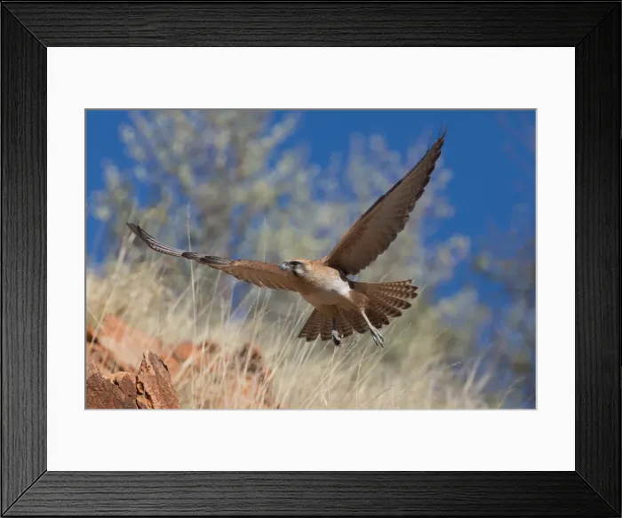 Framed Print : Picture No. 11992725 Framed Print : Picture No. 11992725