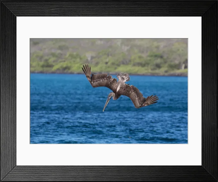 Framed Print : Picture No. 11992728 Framed Print : Picture No. 11992728