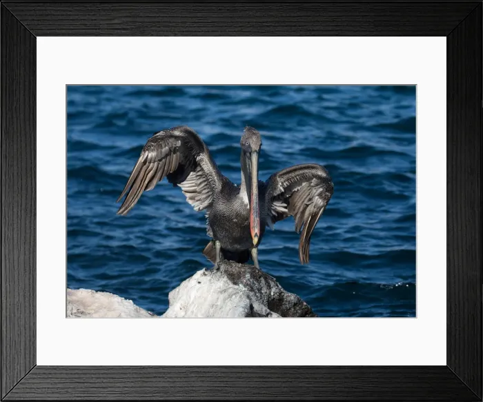 Framed Print : Picture No. 11992730 Framed Print : Picture No. 11992730