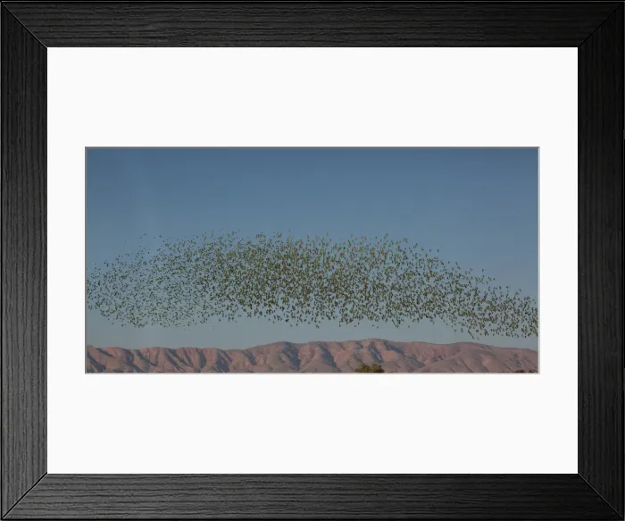 Framed Print : Picture No. 11992731 Framed Print : Picture No. 11992731