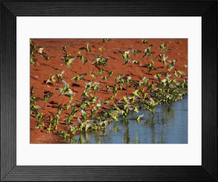 Framed Print : Picture No. 11992734 Framed Print : Picture No. 11992734