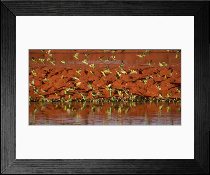 Framed Print : Picture No. 11992735 Framed Print : Picture No. 11992735