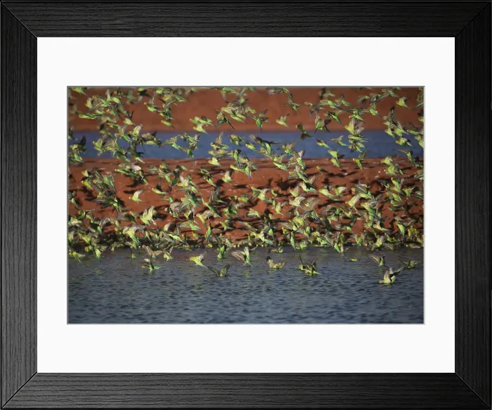 Framed Print : Picture No. 11992736 Framed Print : Picture No. 11992736