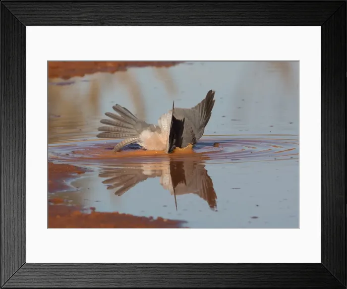 Framed Print : Picture No. 11992738 Framed Print : Picture No. 11992738