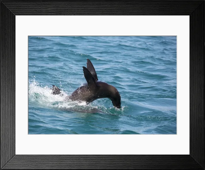 Framed Print : Picture No. 11992748 Framed Print : Picture No. 11992748