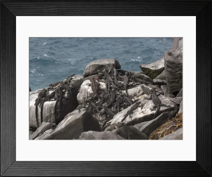 Framed Print : Picture No. 11992753 Framed Print : Picture No. 11992753