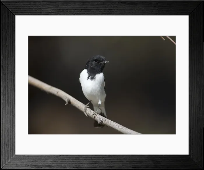 Framed Print : Picture No. 11992763 Framed Print : Picture No. 11992763